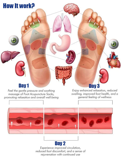 Reflexology Chart Socks With Tool  | GREAT DEAL 30% OFF TODAY